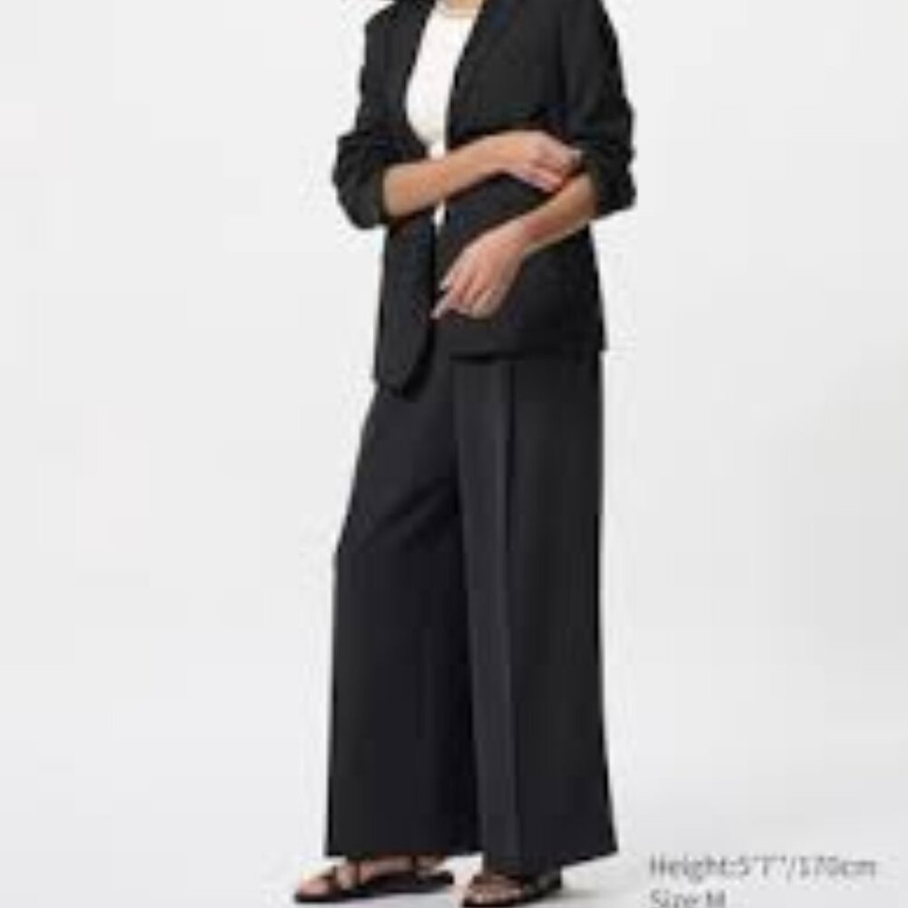 Uniqlo Drape Easy Wide  Pants